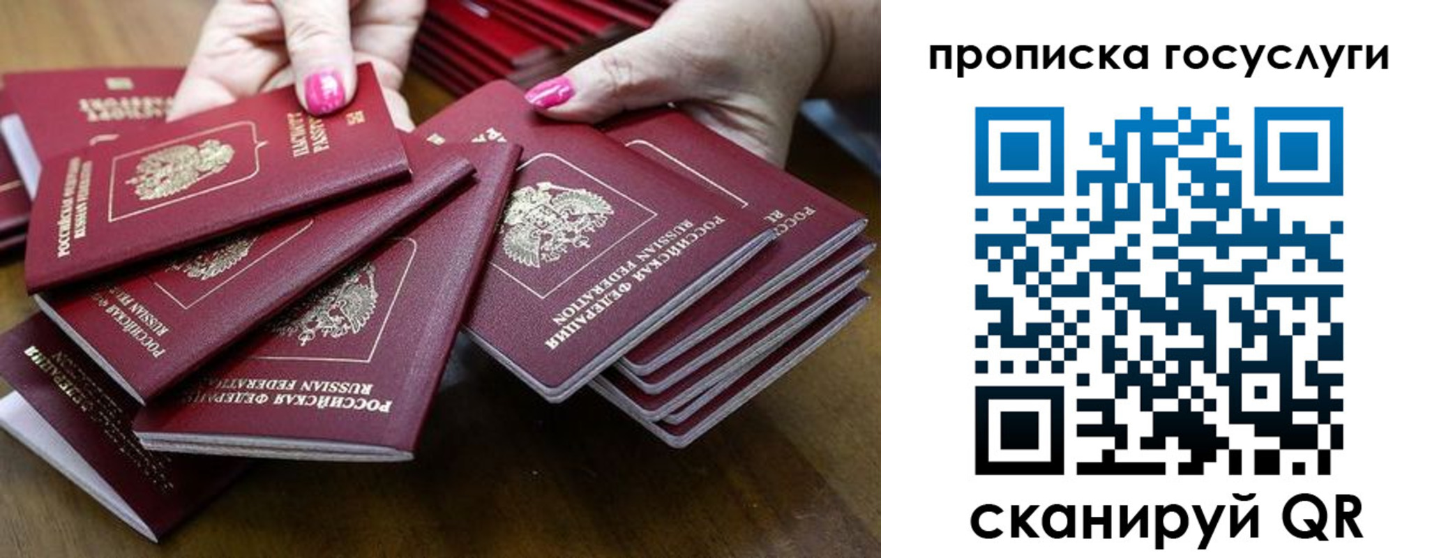 миграционный учет в Владимирской области